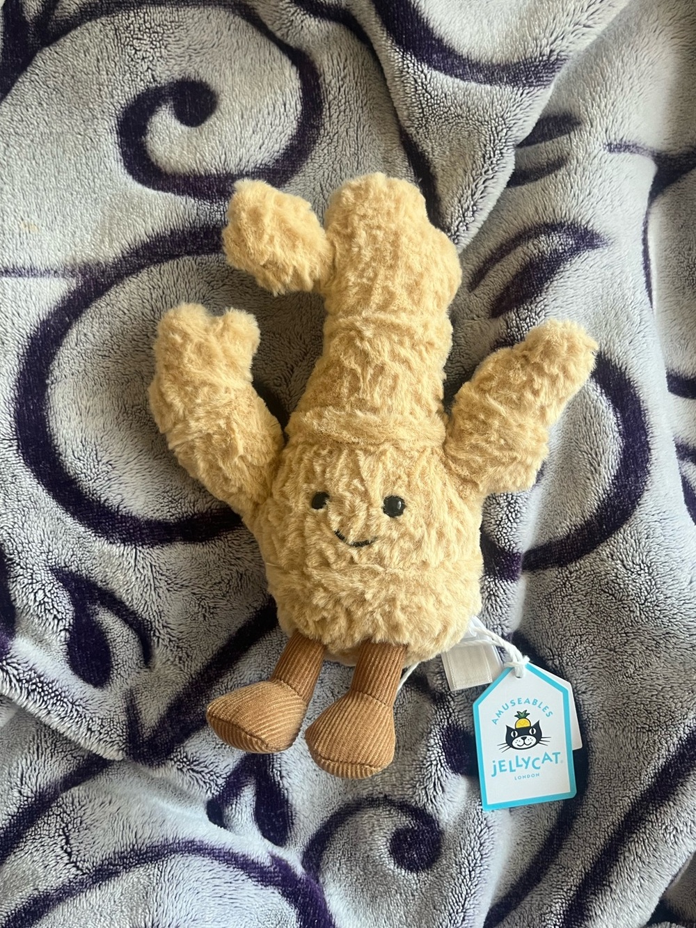 Jellycat Amuseables Ginger🫚